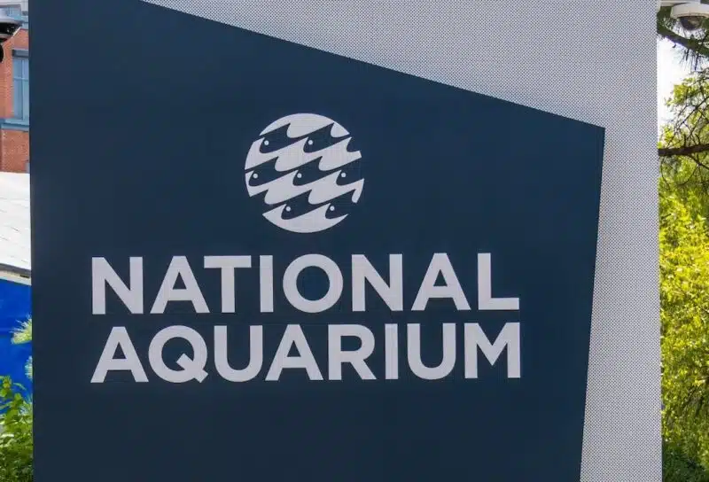 the National Aquarium along the riverfront in Baltimore Maryland USA