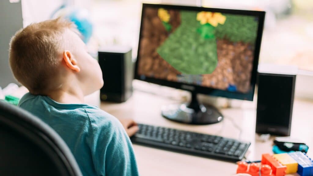 Boy Playing In Computer Games