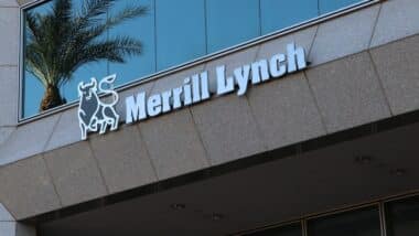 Merrill Lynch Investment Group