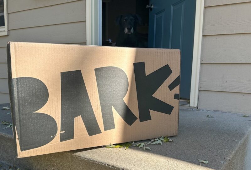 A large Bark Box is delievered to a home residence.